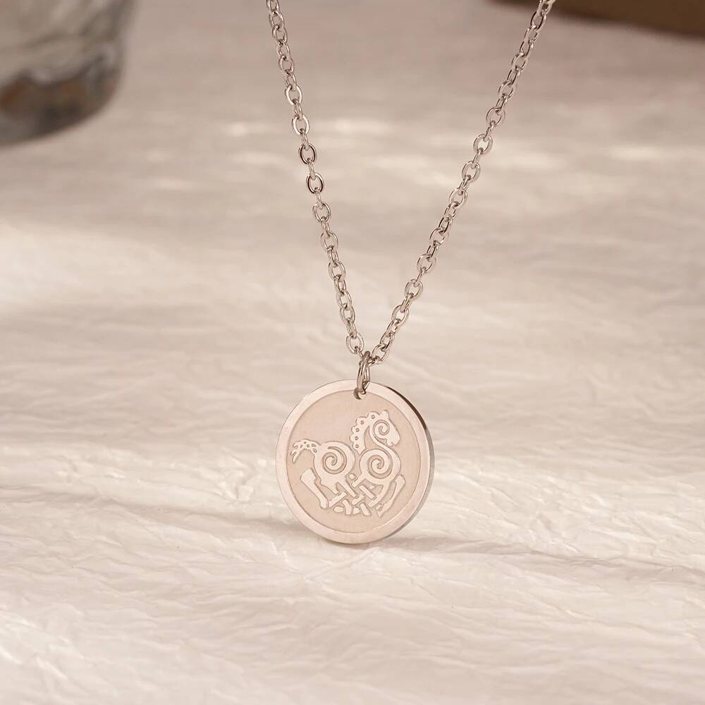 Collier pendentif en acier ino - Coin Necklace Delicate avis et prix