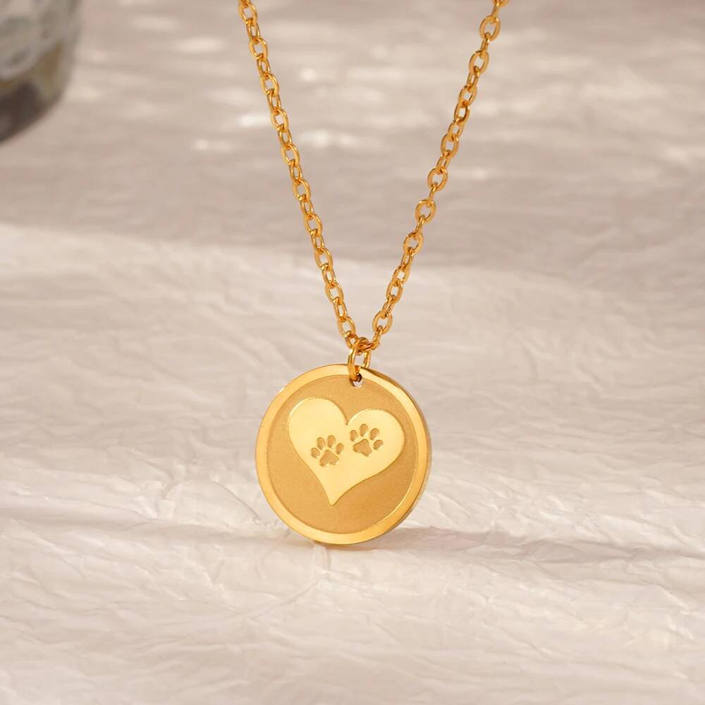 Collier avec pendentif en acie - Coin Necklace Delicate avis et prix